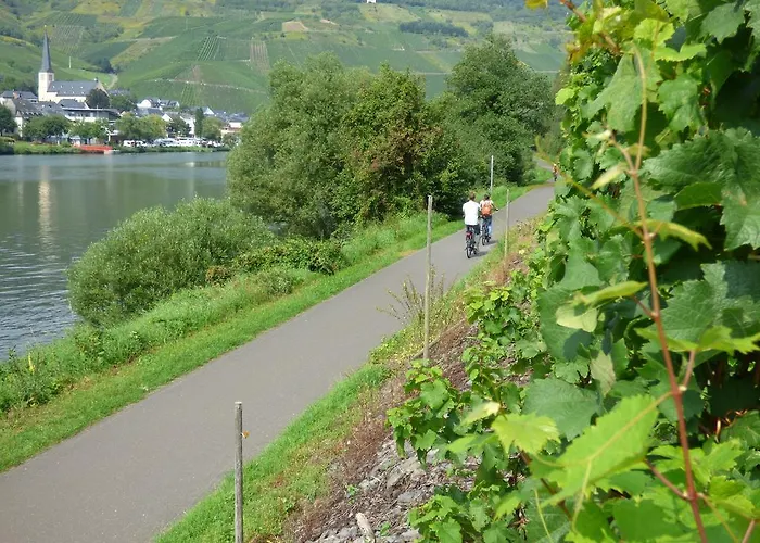 Apartamento Sonnenhaus Traben-Trarbach